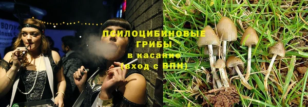 ALPHA PVP Баксан