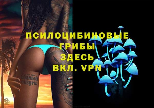 ALPHA PVP Баксан